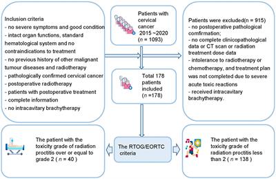 Development and validation of an interpretable radiomic nomogram for severe radiation proctitis prediction in postoperative cervical cancer patients